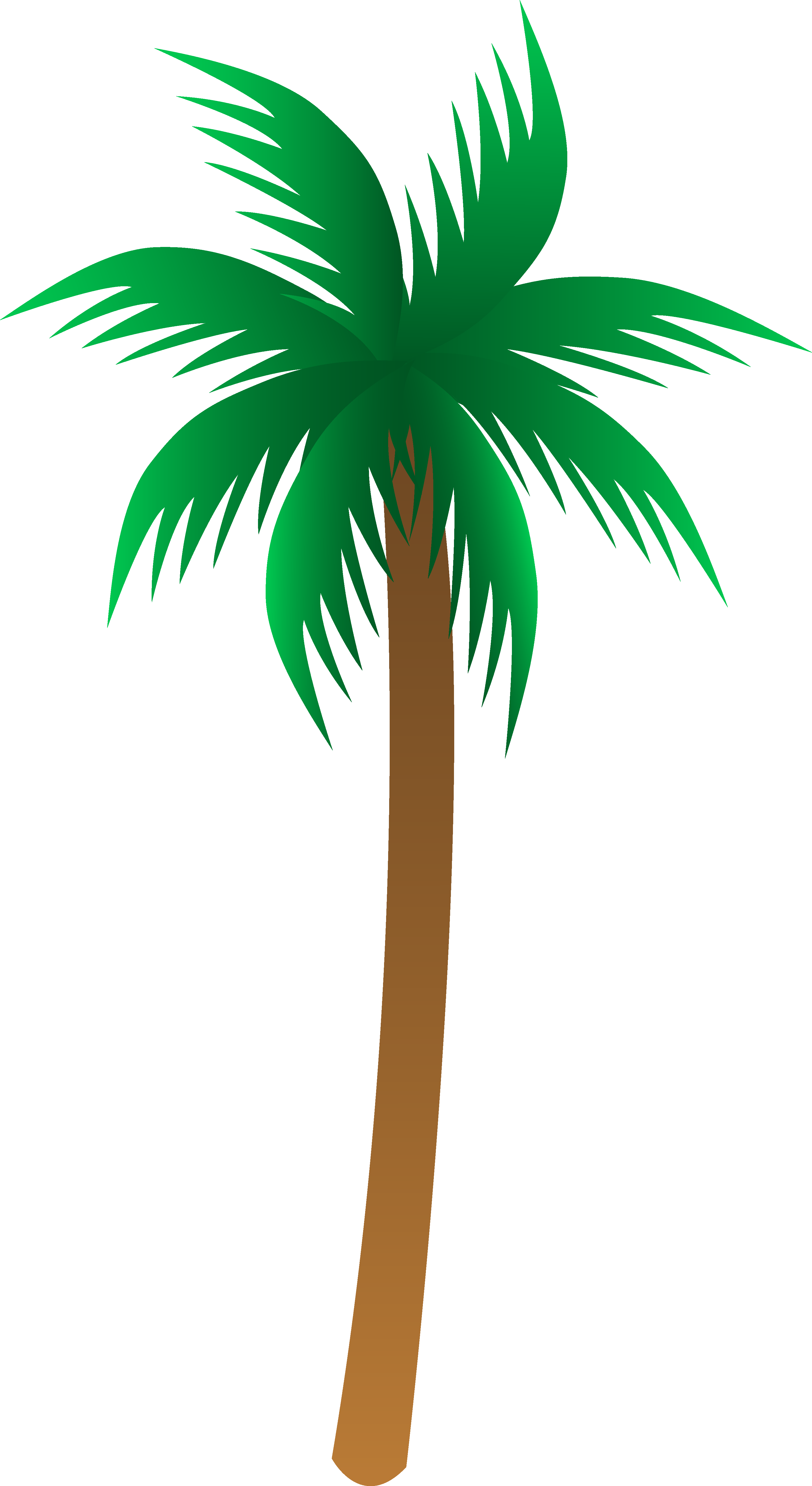 Vector Palm Tree Palm Trees Mylocalguide Site Clipart