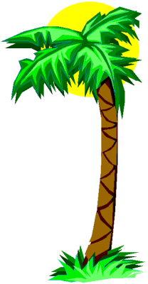 Palm Tree Images Download Png Clipart