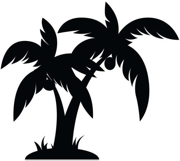 Palm Tree 7 Png Image Clipart