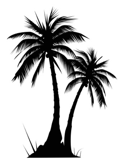 Florida Palm Trees Palm Trees Mylocalguide Site Clipart