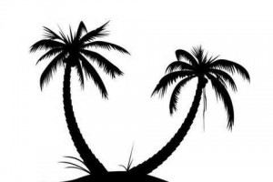 Palm Tree Png Images Clipart
