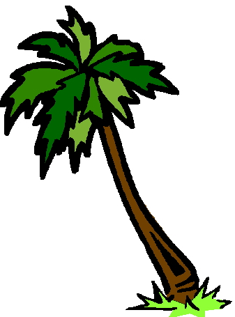Palm Tree Image Png Clipart