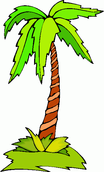 Palm Tree 8 Image Png Clipart