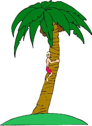Palm Tree Catch The Breeze Hd Image Clipart