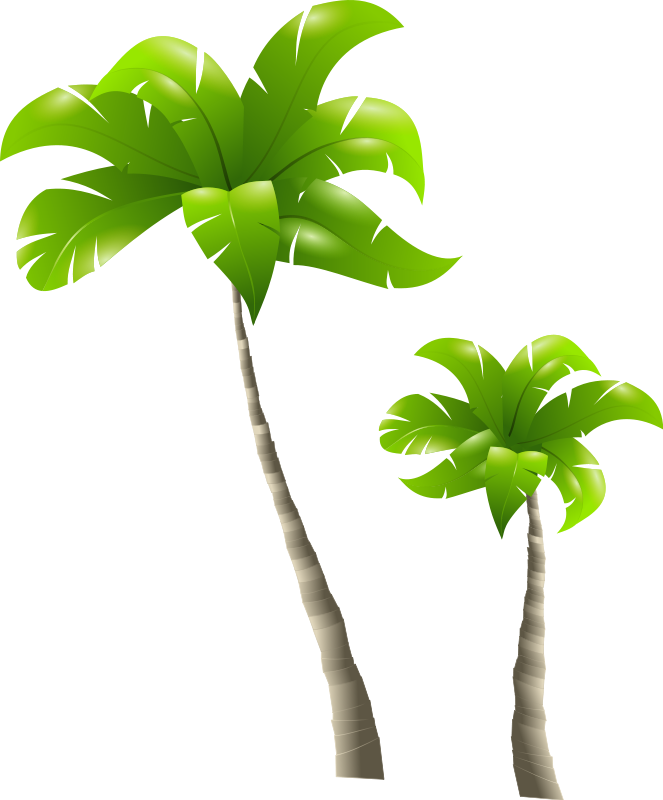 Palm Tree To Use Image Png Clipart