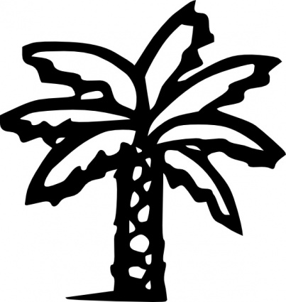 Palm Tree Vector For You Hd Photos Clipart