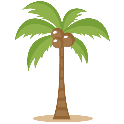 Large Palm Tree Png Images Clipart