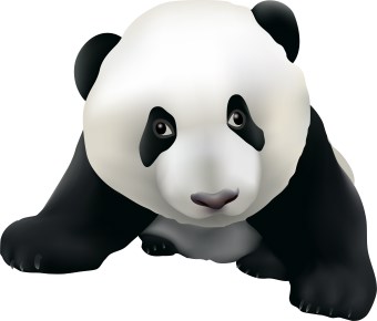 Panda Lookout Images Png Images Clipart