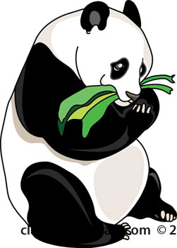 Panda Head Images Transparent Image Clipart