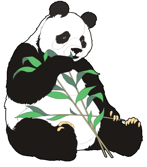 Free Panda Pictures Graphics Illustrations Hd Photo Clipart