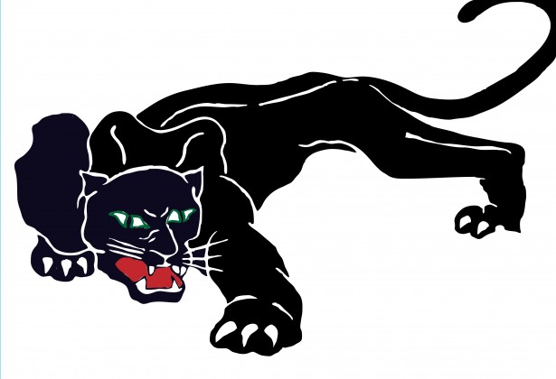 Black Panther Vector Hd Image Clipart