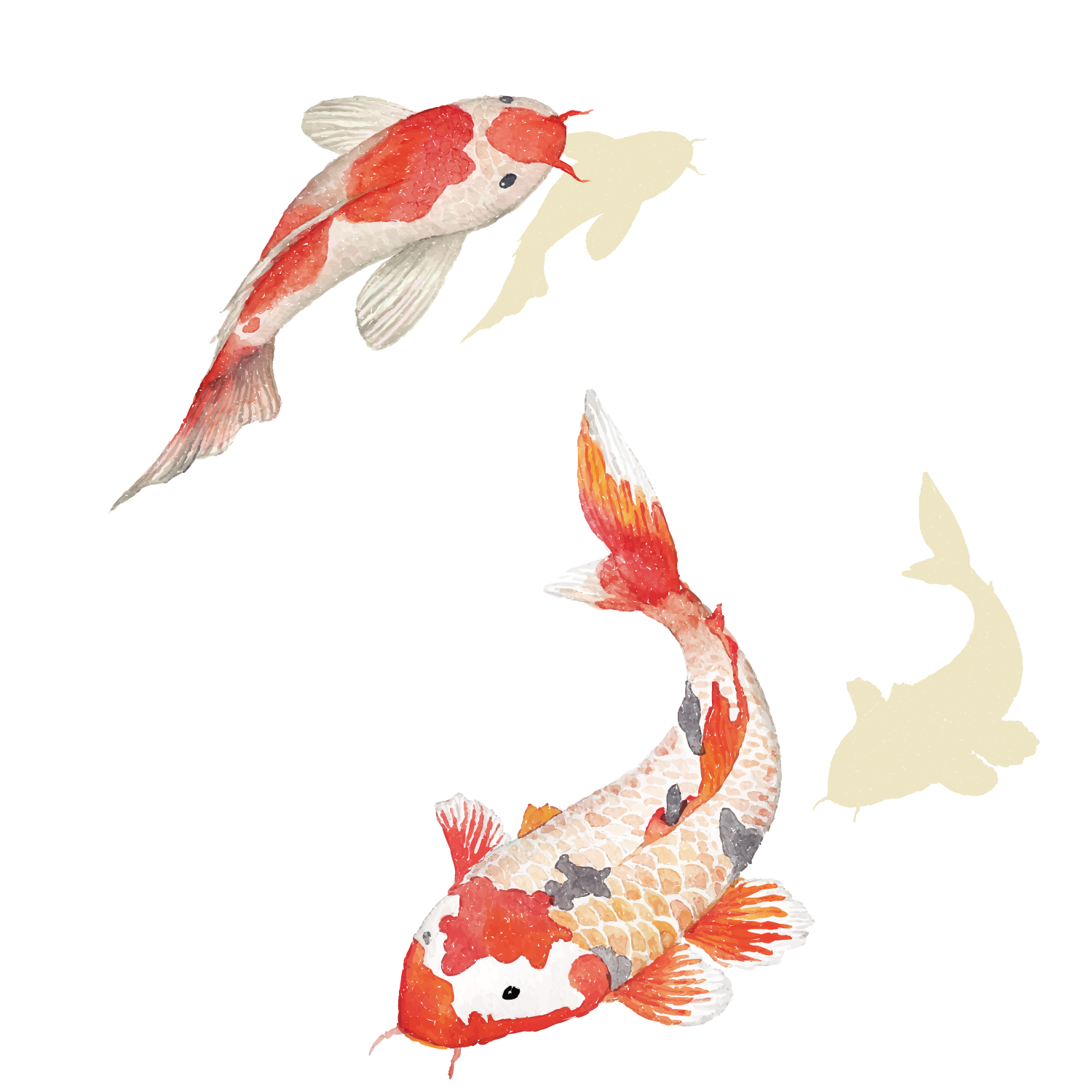 Carp Chinese Download HD PNG Clipart