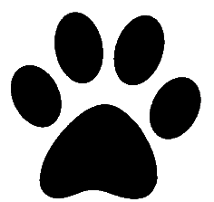 Paw Prints Png Image Clipart