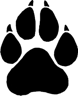 Paw Print Wildcat Paw Kid Image Png Clipart