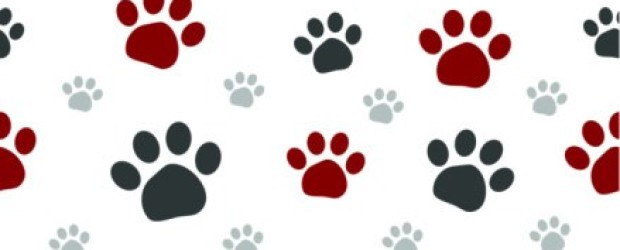 Paw Print Trail Kid Png Image Clipart