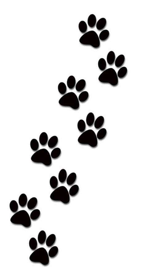 Paws Tattoo Designs For Women Kids And Clipart