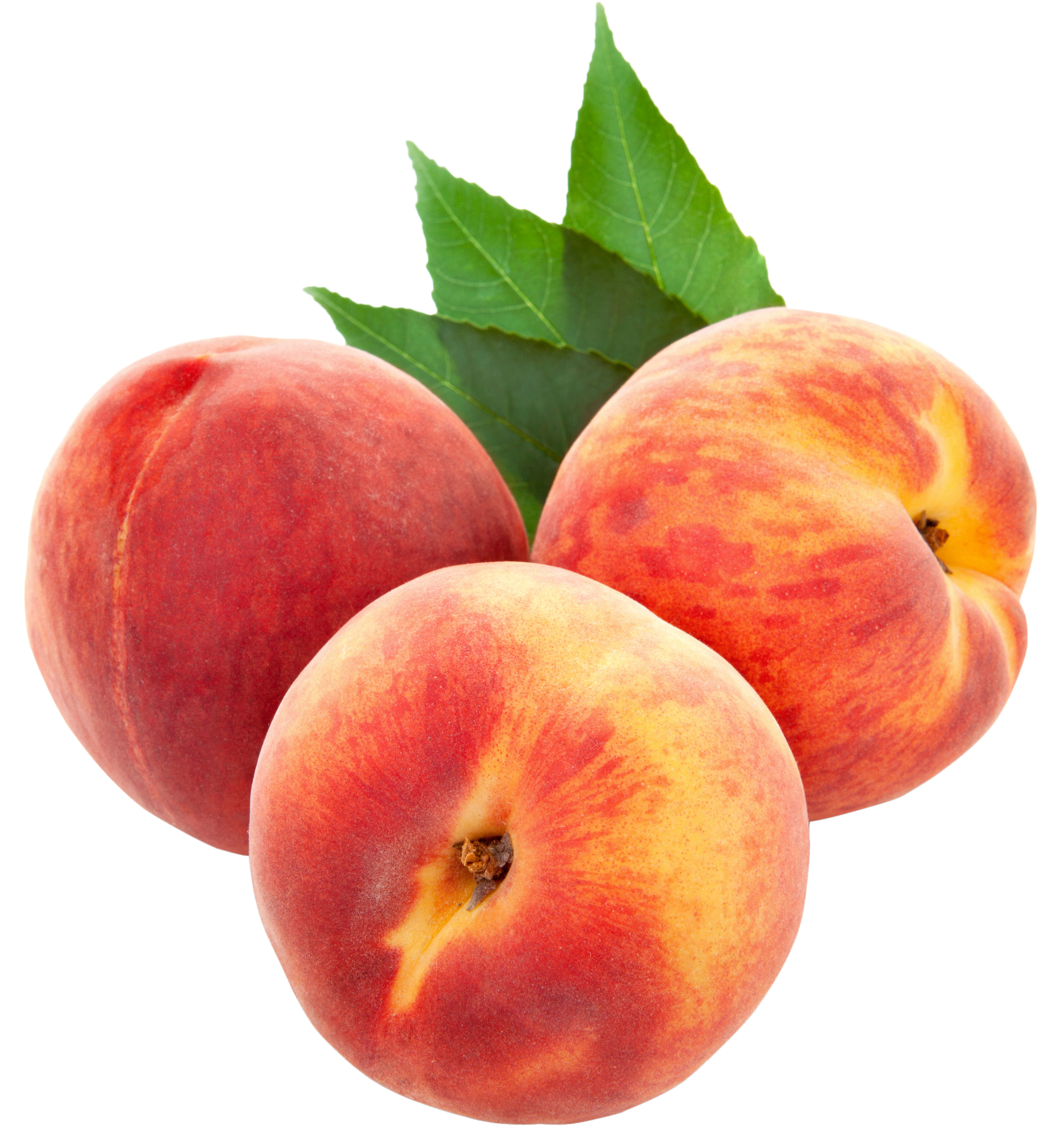 Peach For You Image Clipart Clipart