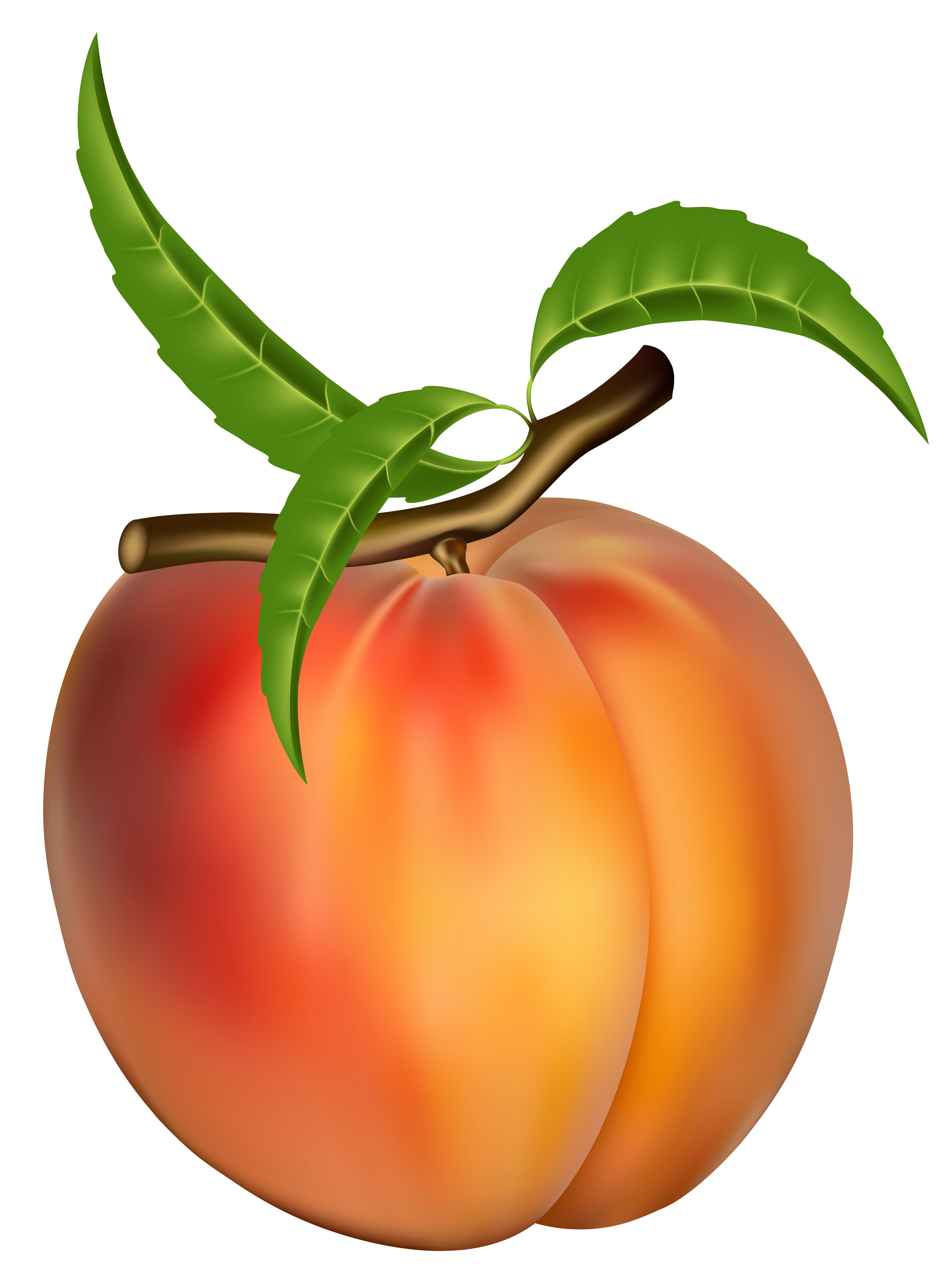 Peach Image Png Clipart