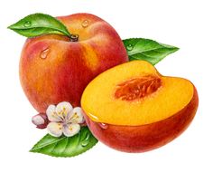 Peach Images About Everyday Foods On Fruit Clipart