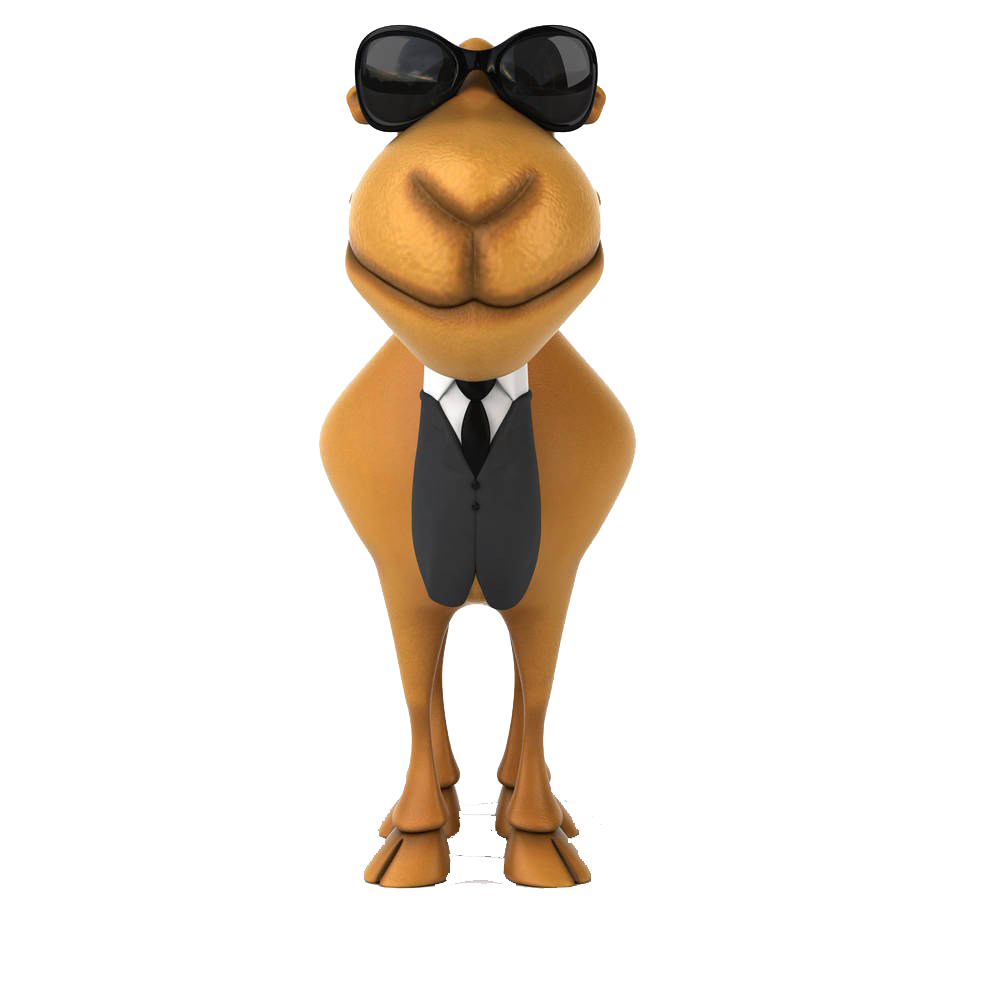 Sunglasses Camel Illustration Royalty-Free With Drawing Clipart