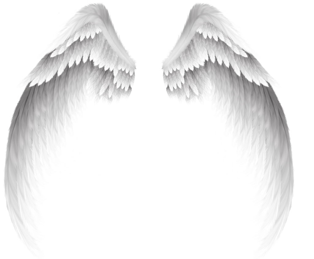 White Pretty Angel Wings Download Free Image Clipart