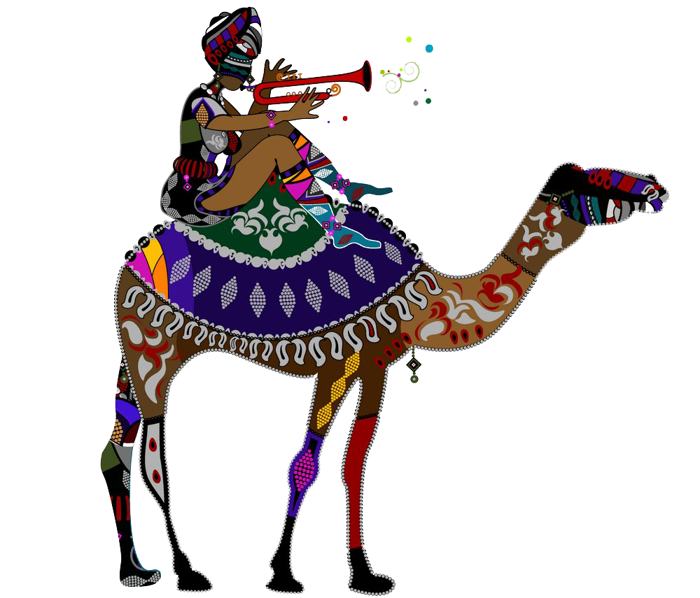 Photography Stock Cartoon Illustration Camel Free Download Image Clipart