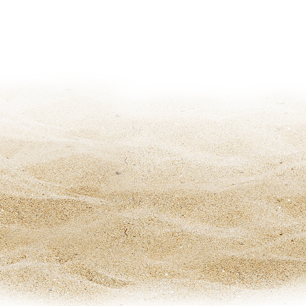 Brown Pattern Photography Stock.Xchng Beach Sandy Stock Clipart
