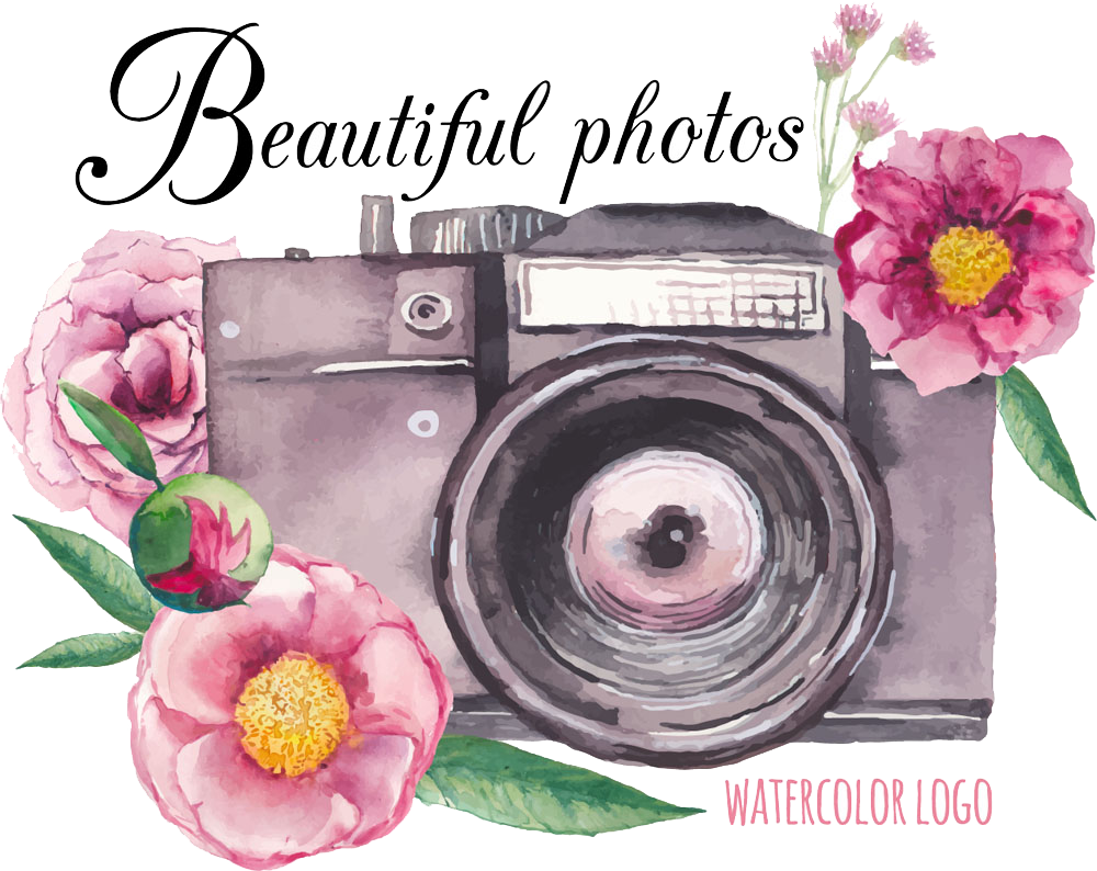 Vector Camera Flower Drawing Free Download PNG HD Clipart