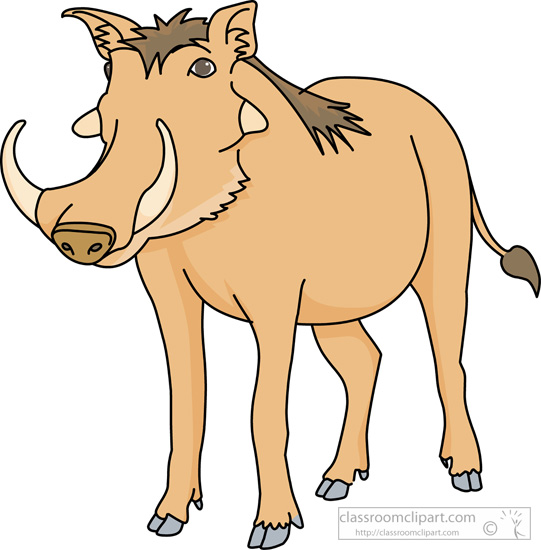 Free Pig Pictures Graphics Illustrations Hd Photo Clipart