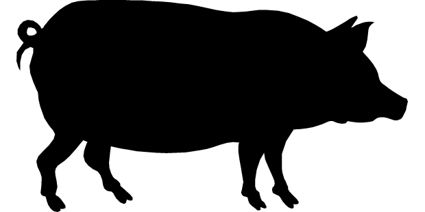 Pigs Image Png Clipart