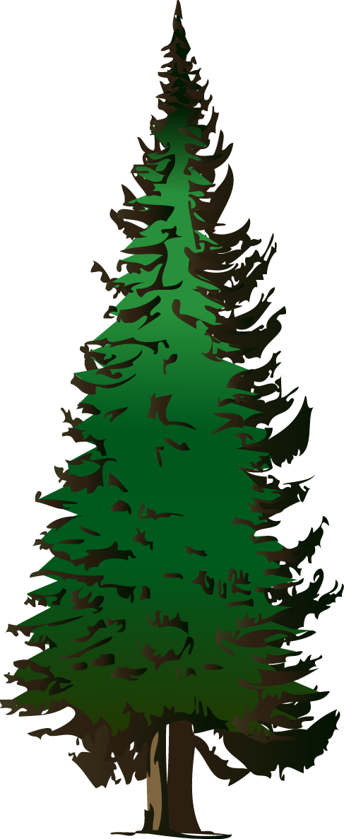 Pine Tree Images Download Png Clipart