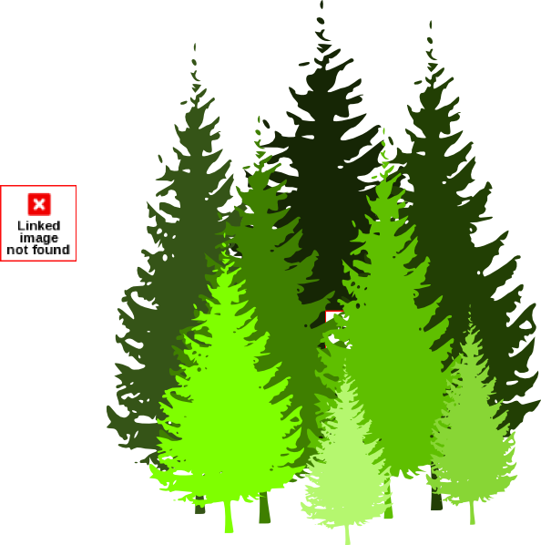Pine Tree At Vector Image Png Image Clipart