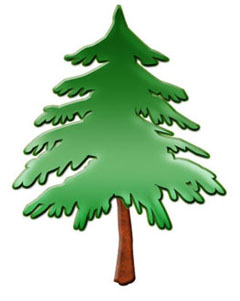 Pine Tree Images Png Images Clipart