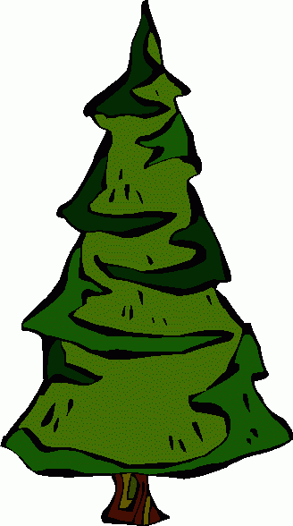Pine Tree Images Clipart Clipart