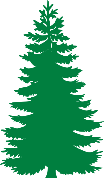 Pine Tree Images Png Image Clipart
