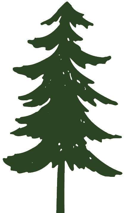 Clip Art Pine Trees Black And White Clipart