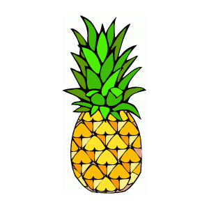 Hawaiian Pineapple Images Png Image Clipart