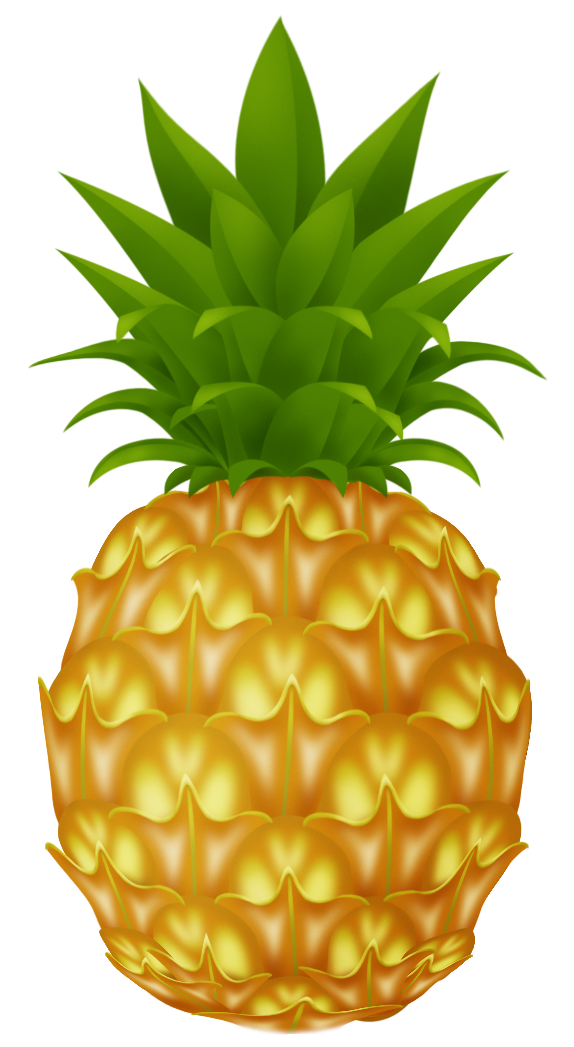Pineapple Images Pictures Download Transparent Image Clipart