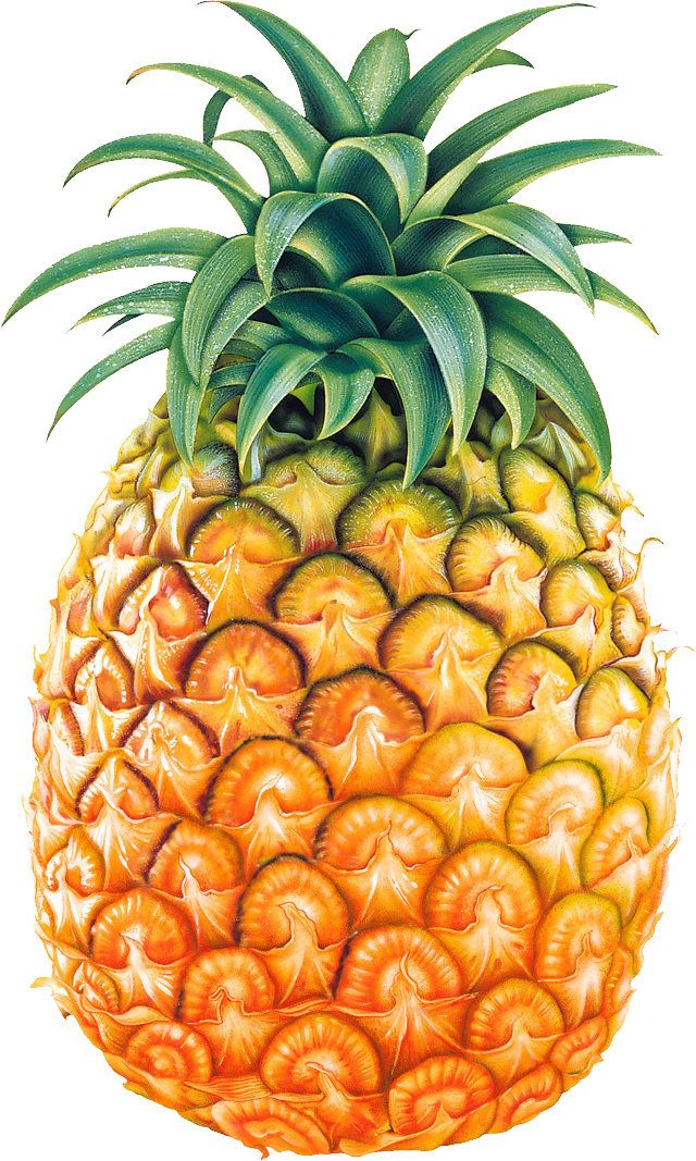 Pineapple Images Pictures Download Hd Photo Clipart