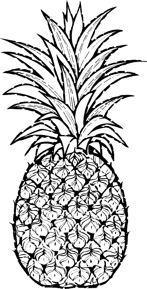 Pineapple Black And White Hd Image Clipart