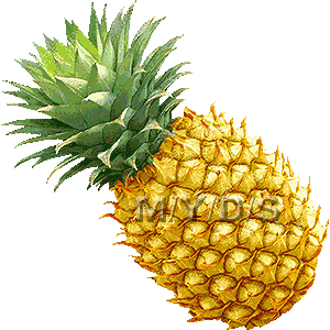 Pineapple Image 9 Clipart Clipart