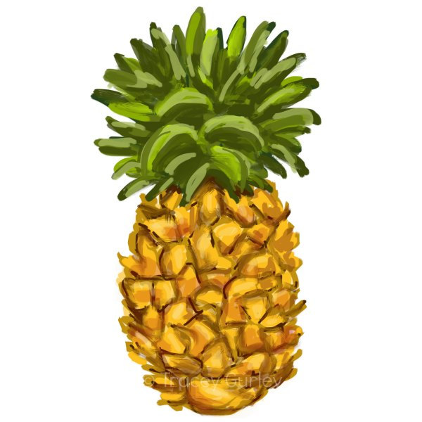 Pineapple Fruits 2 Free Download Clipart
