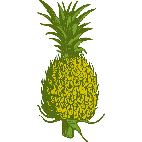 Pineapple 3 Com Hd Image Clipart