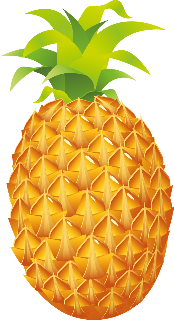 Pineapple To Use Image Png Clipart