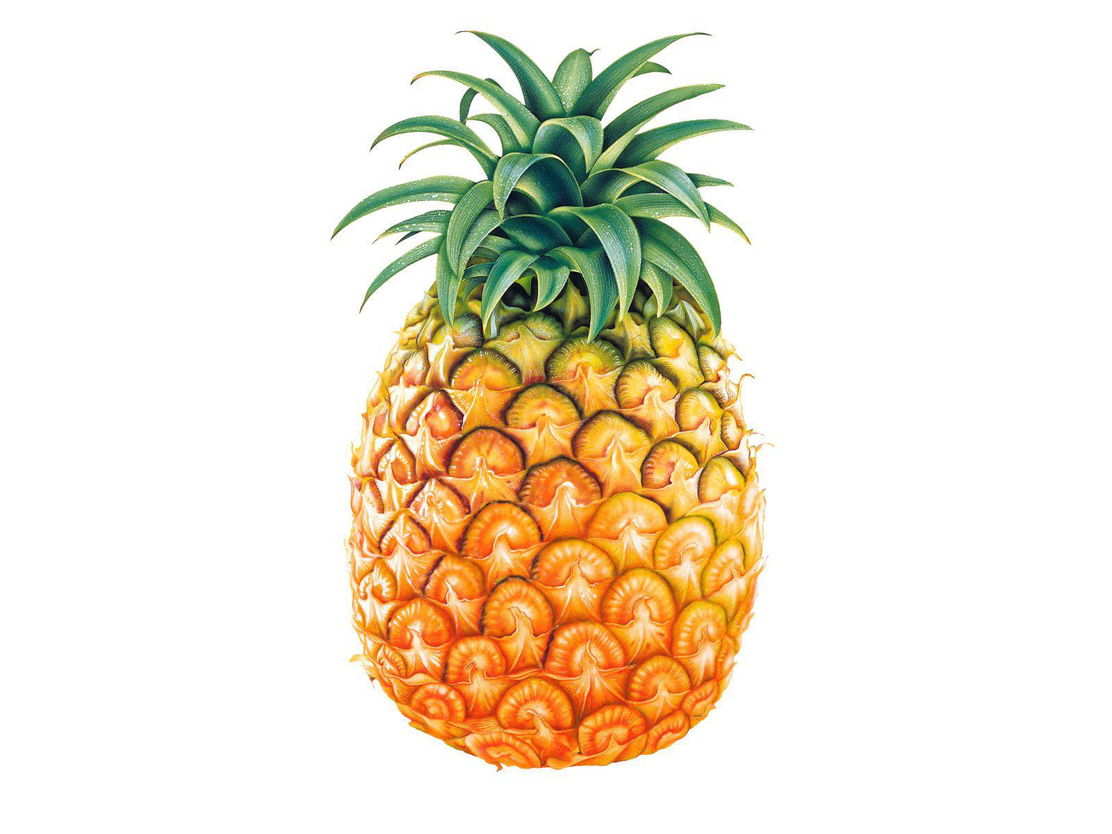 Pineapple Wallpaper Iphone Images Free Download Clipart