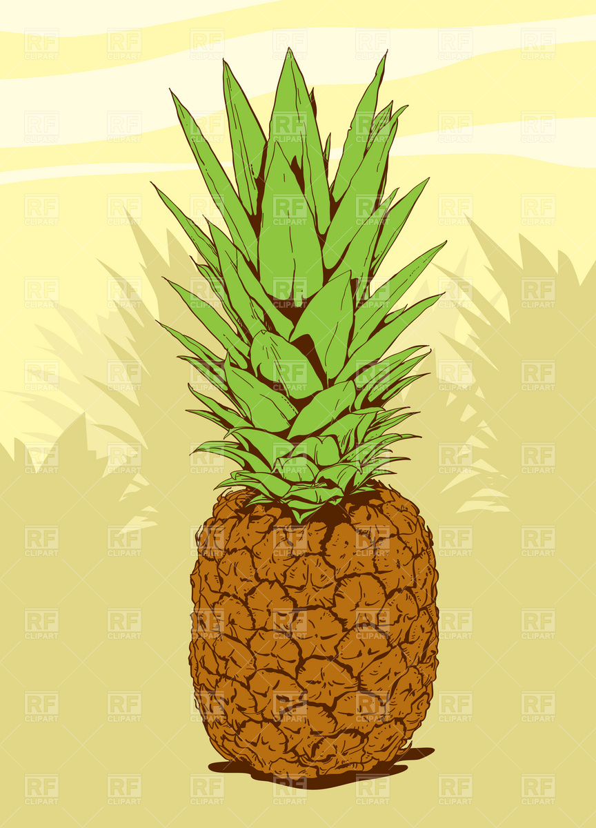Pineapple Etc Transparent Image Clipart