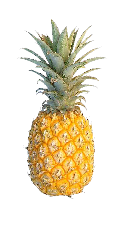 Cuisine Golden Food Of Hawaii Fruit Pineapple Clipart