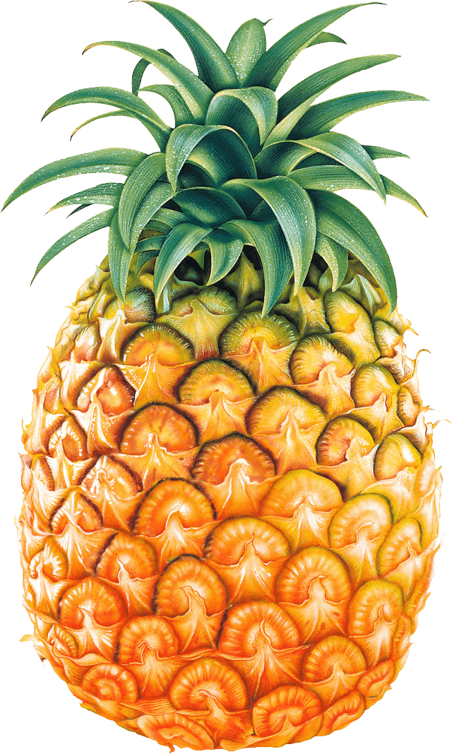 Fruit Pineapple Free Transparent Image HD Clipart