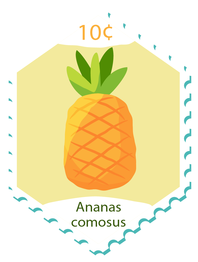 About Network Stamp Pineapple Vector Design Graphics Clipart