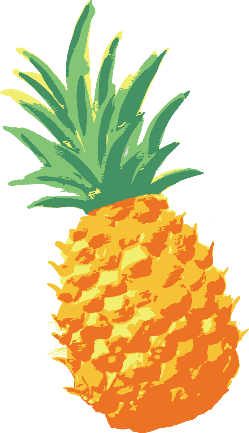 Network Ananas Pineapple Watercolor Vector Graphics Drawing Clipart